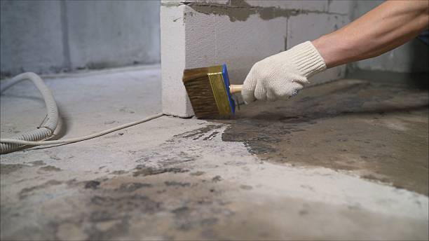 24/7 Emergency Waterproofing experts in Sidney, IL